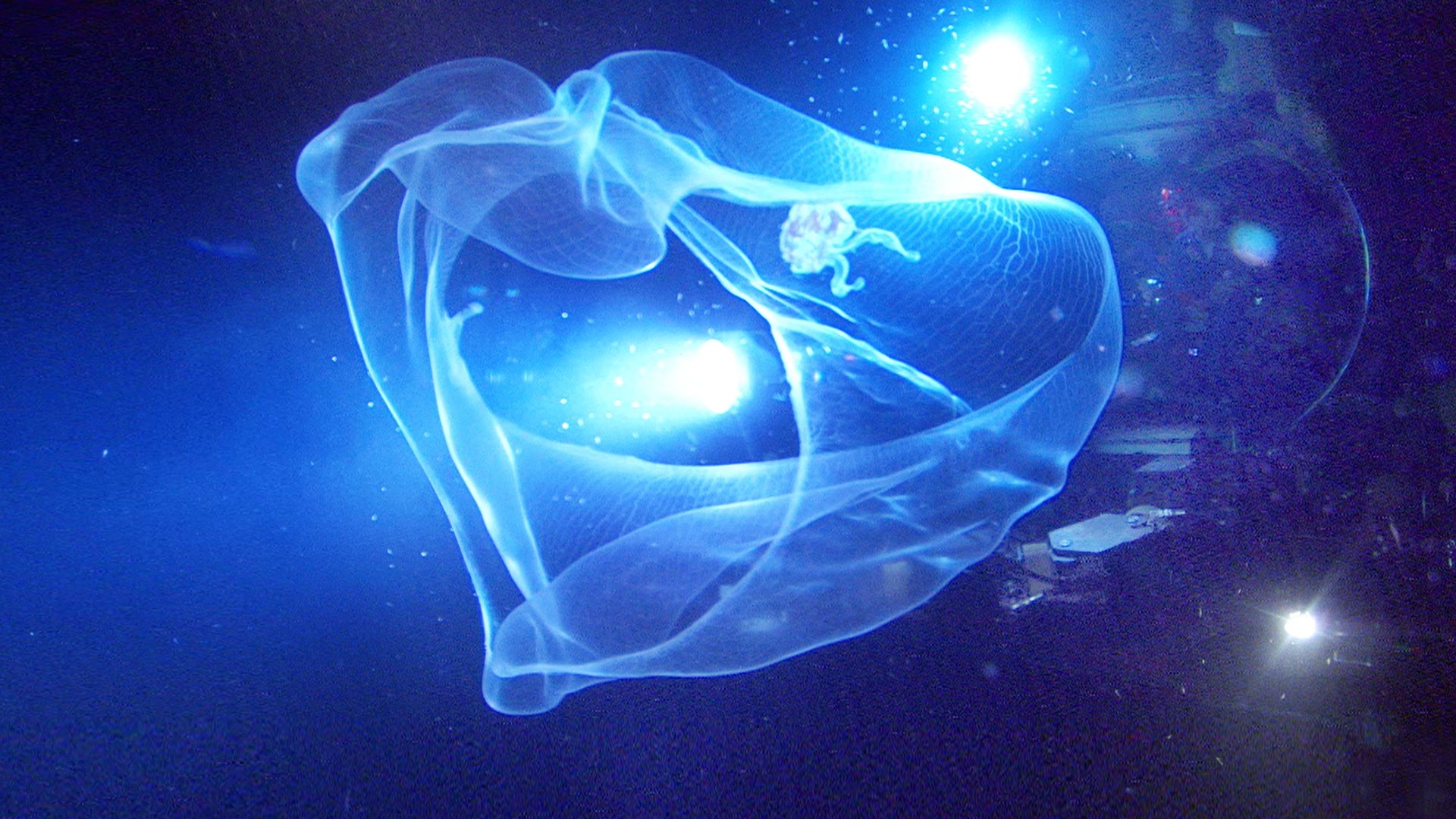 Aliens of the Deep Background