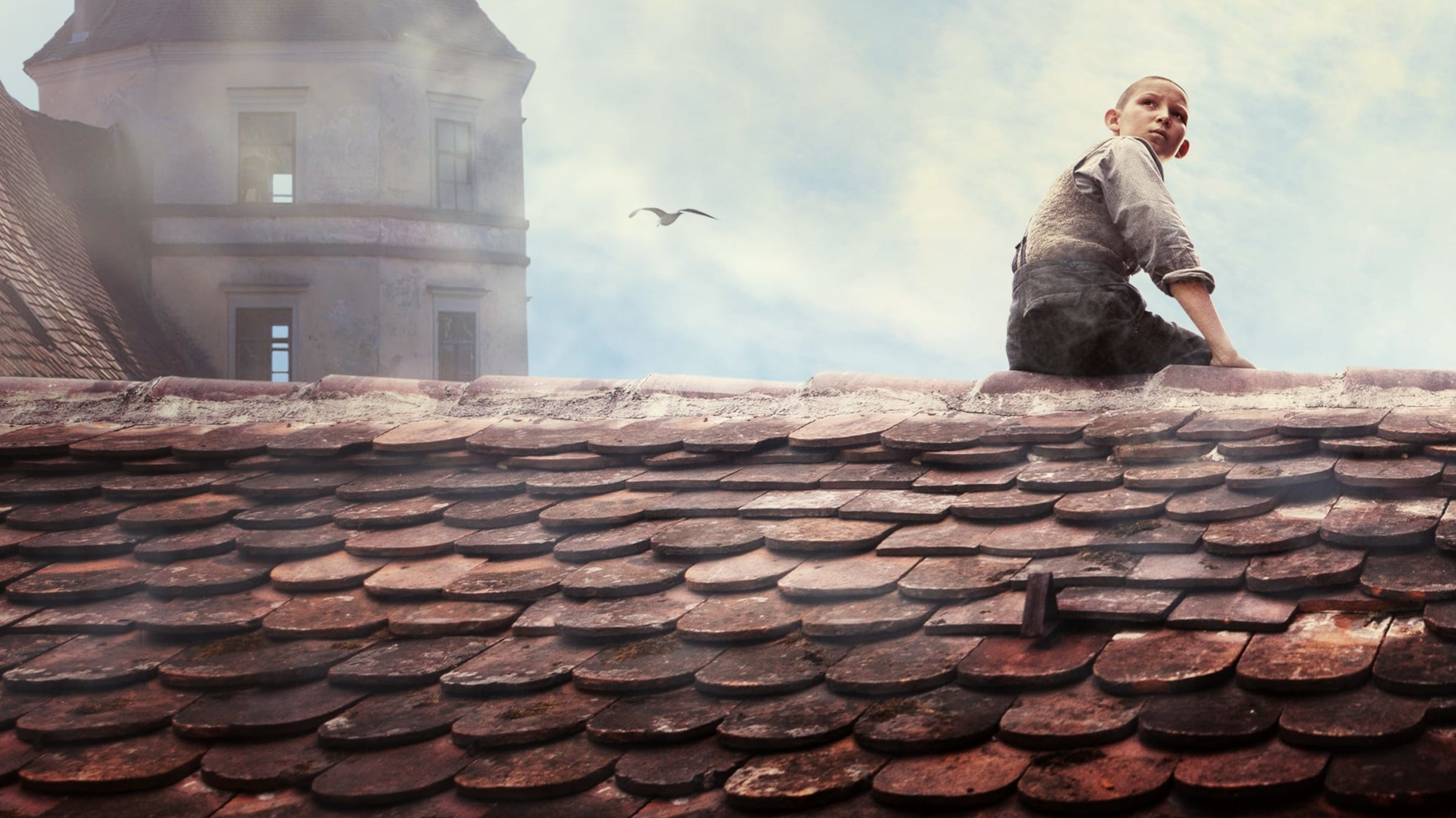 Fog in August Background