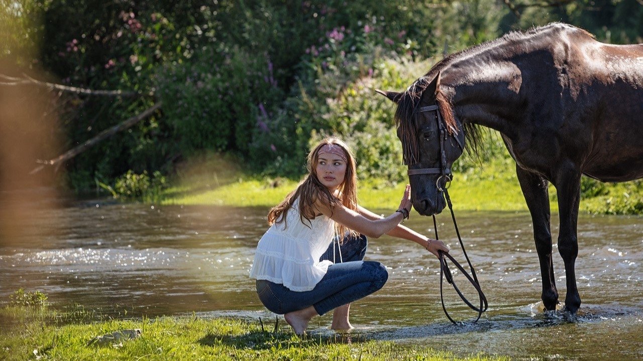 Immenhof - Das große Versprechen Background