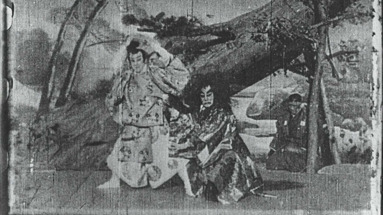 Maple Leaf Viewing Background