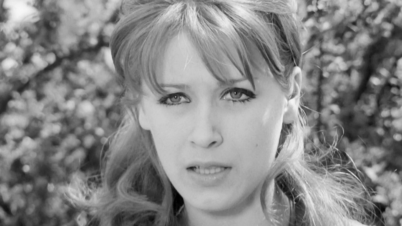 The Ladykiller Background