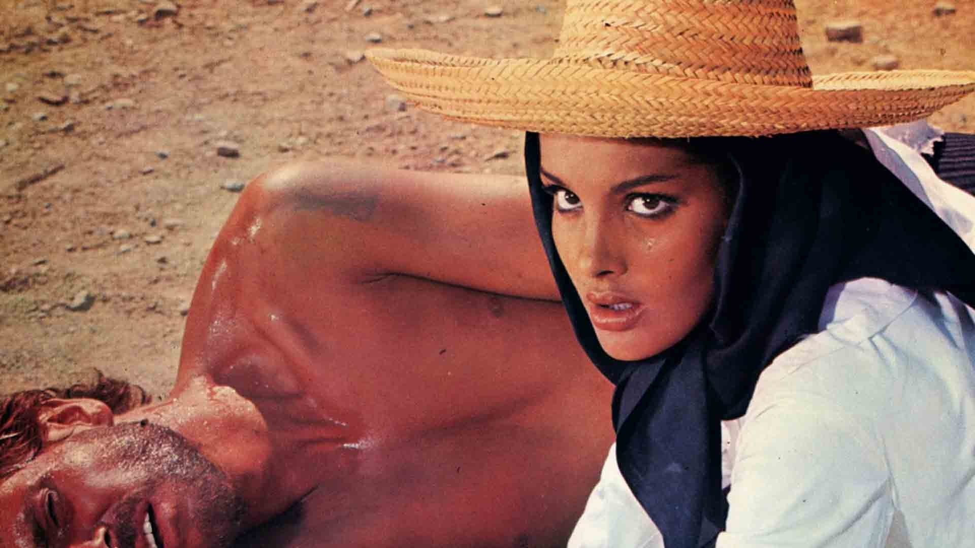 Seven Guns for the MacGregors Background