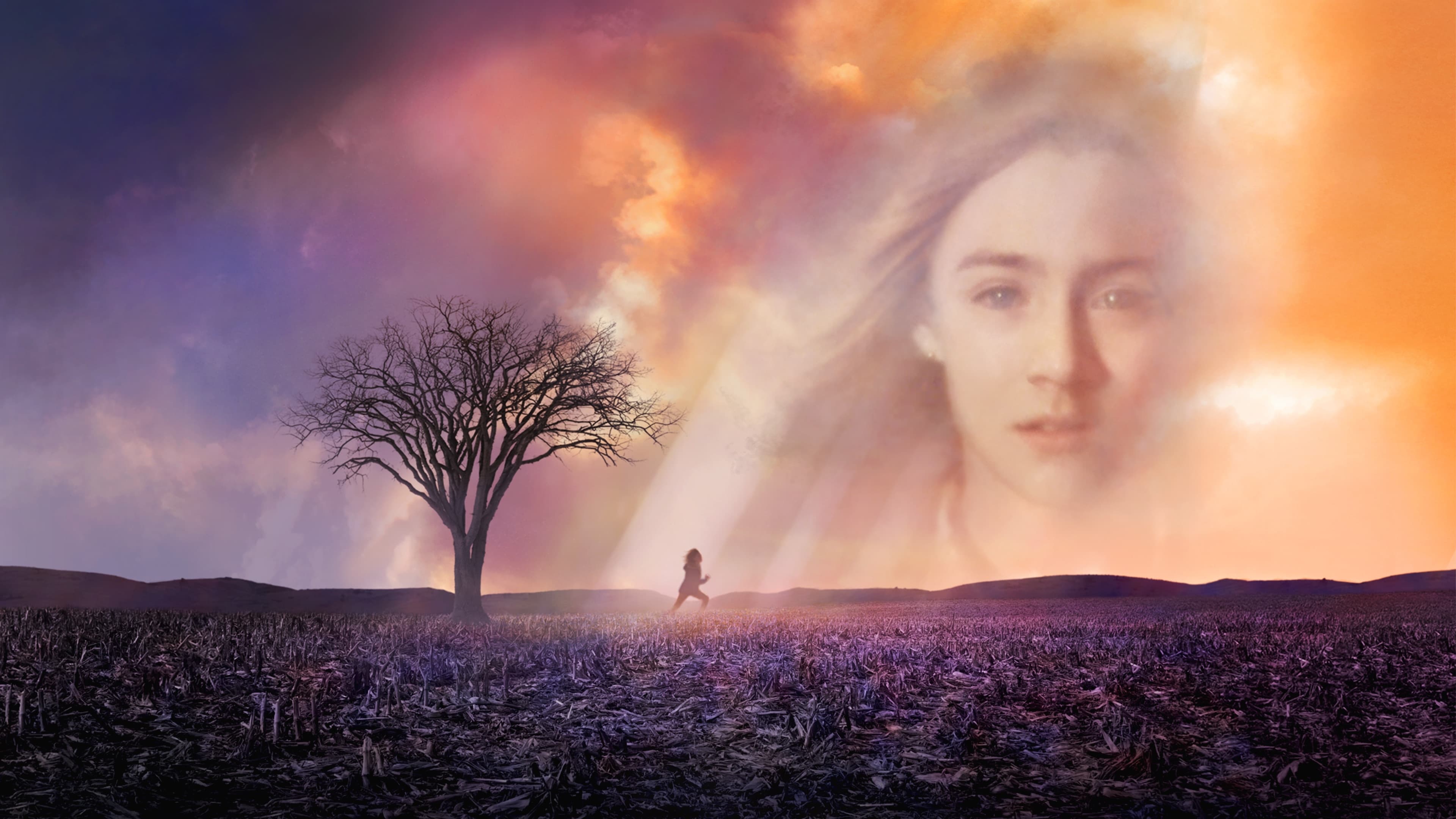 The Lovely Bones Background