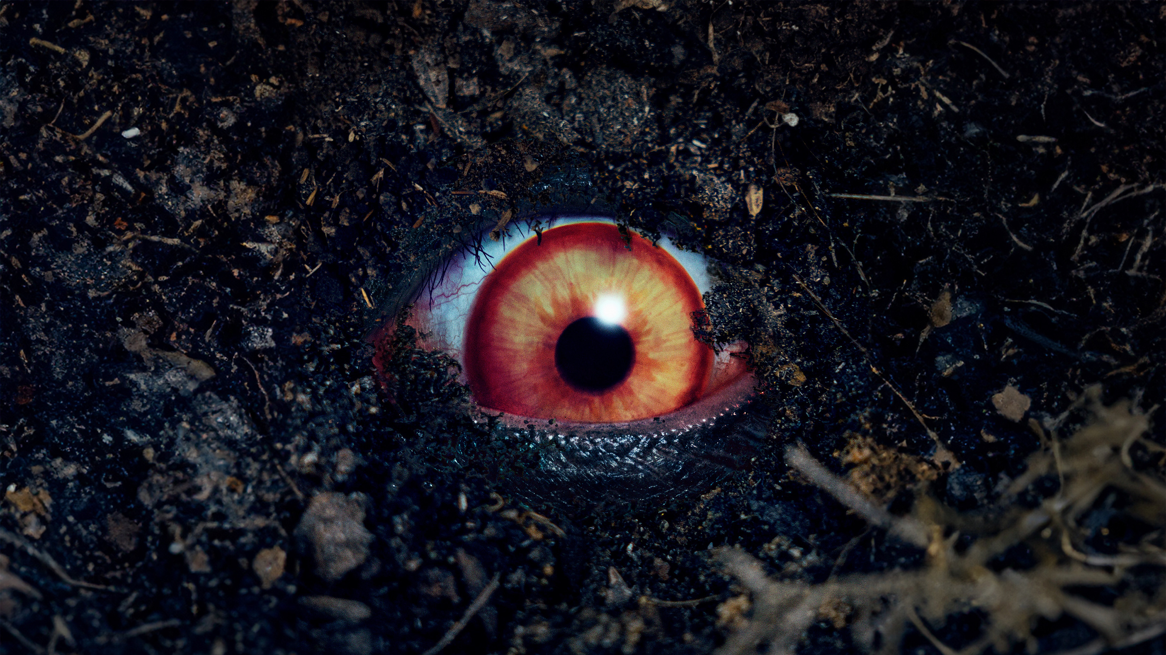 The Forbidden Play Background