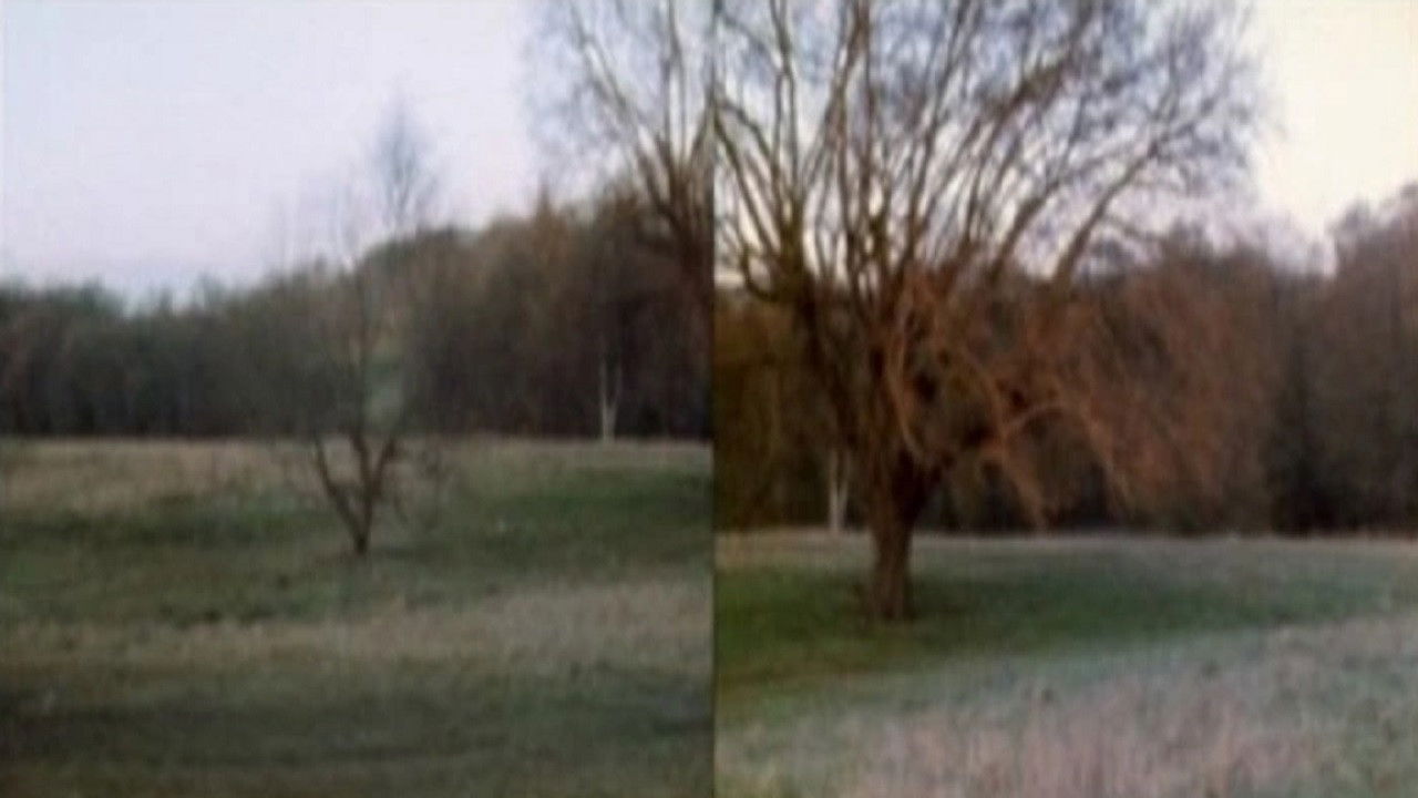 Wind Vane Background