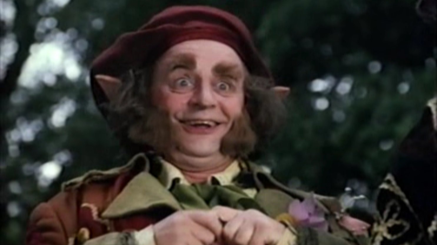 Spellbreaker: Secret of the Leprechauns Background