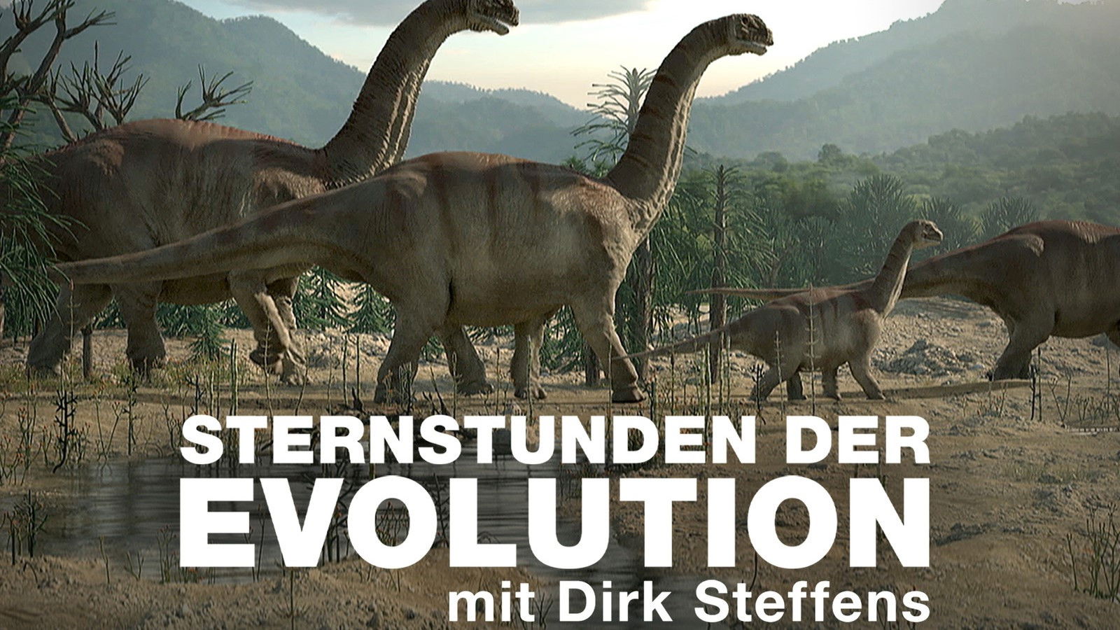 Terra X - Sternstunden der Evolution Background