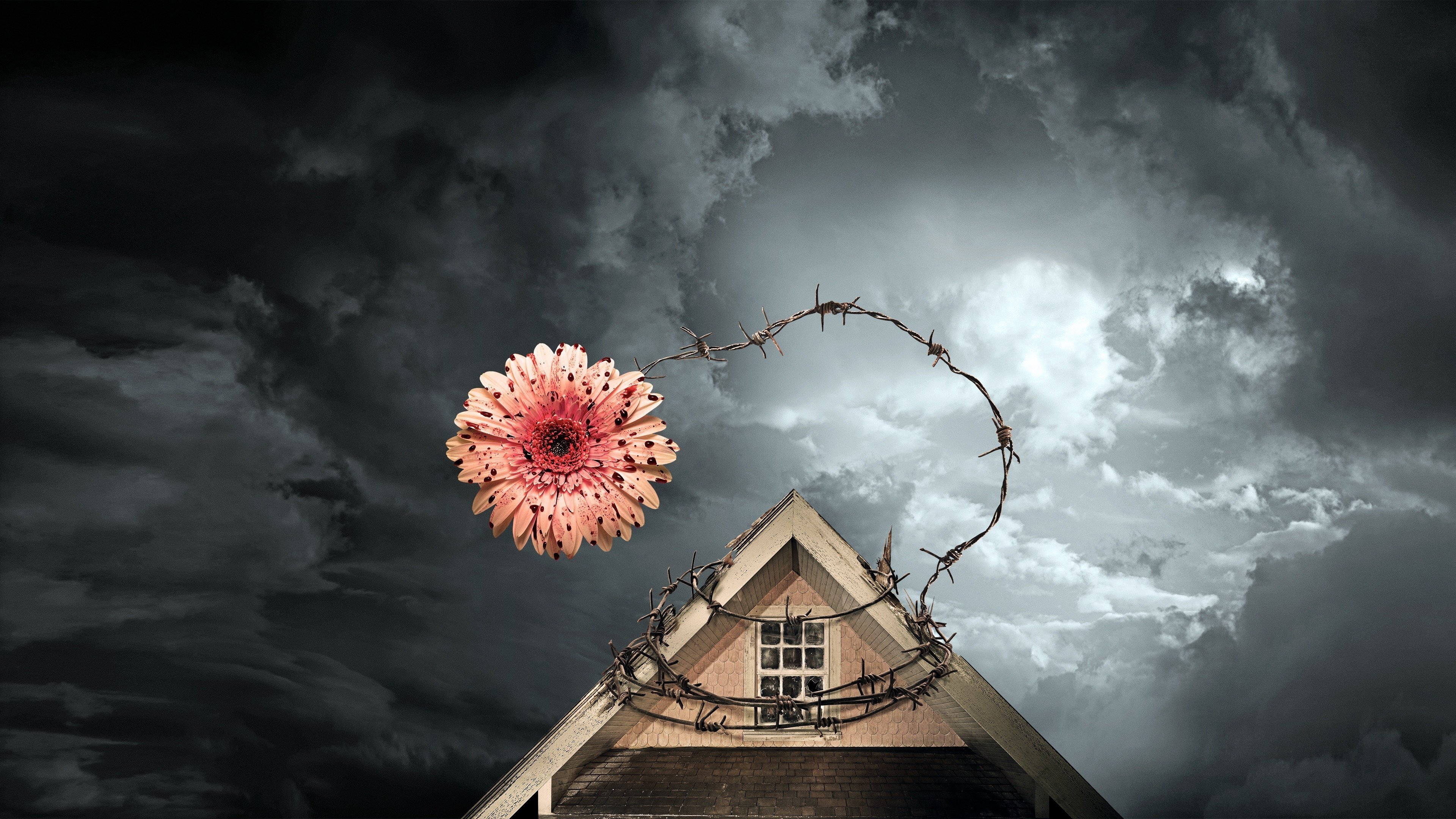 Petals on the Wind Background