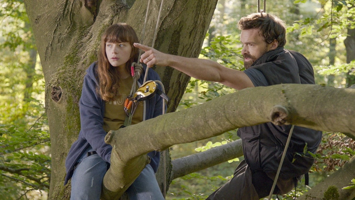 La Forêt de mon père Background