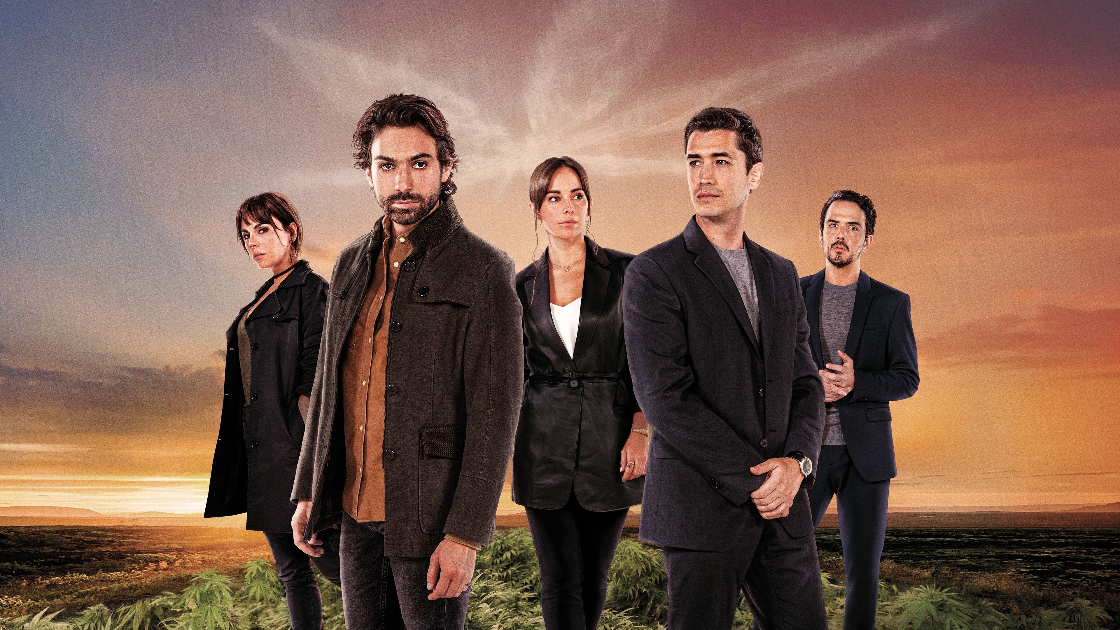 MalaYerba Background