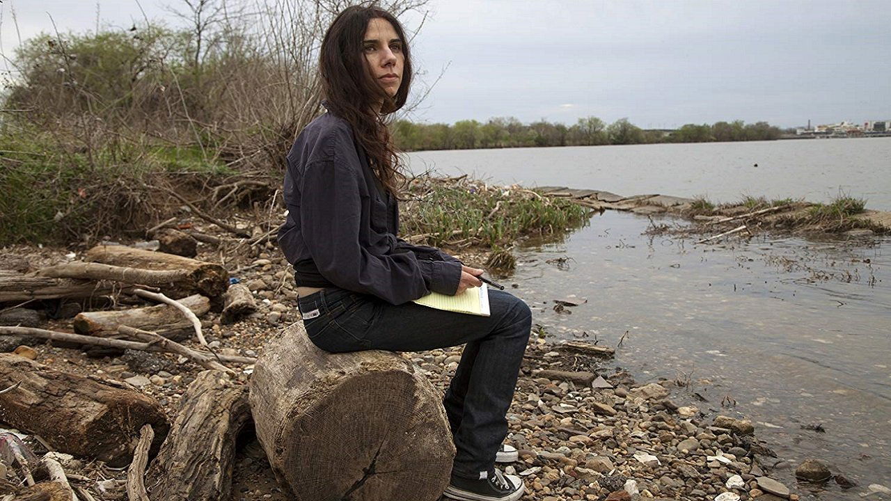 A Dog Called Money Background