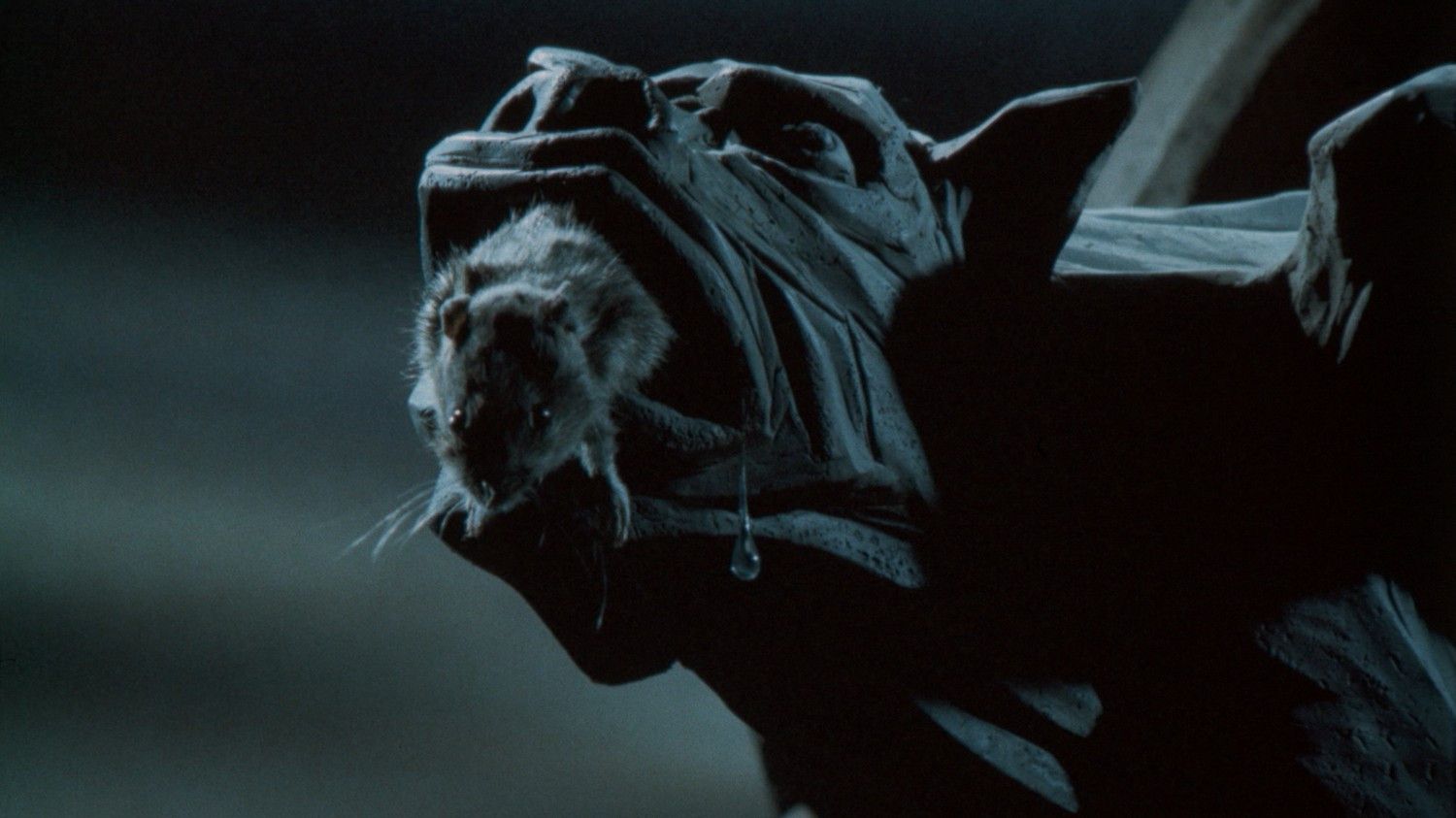 The Pied Piper Background