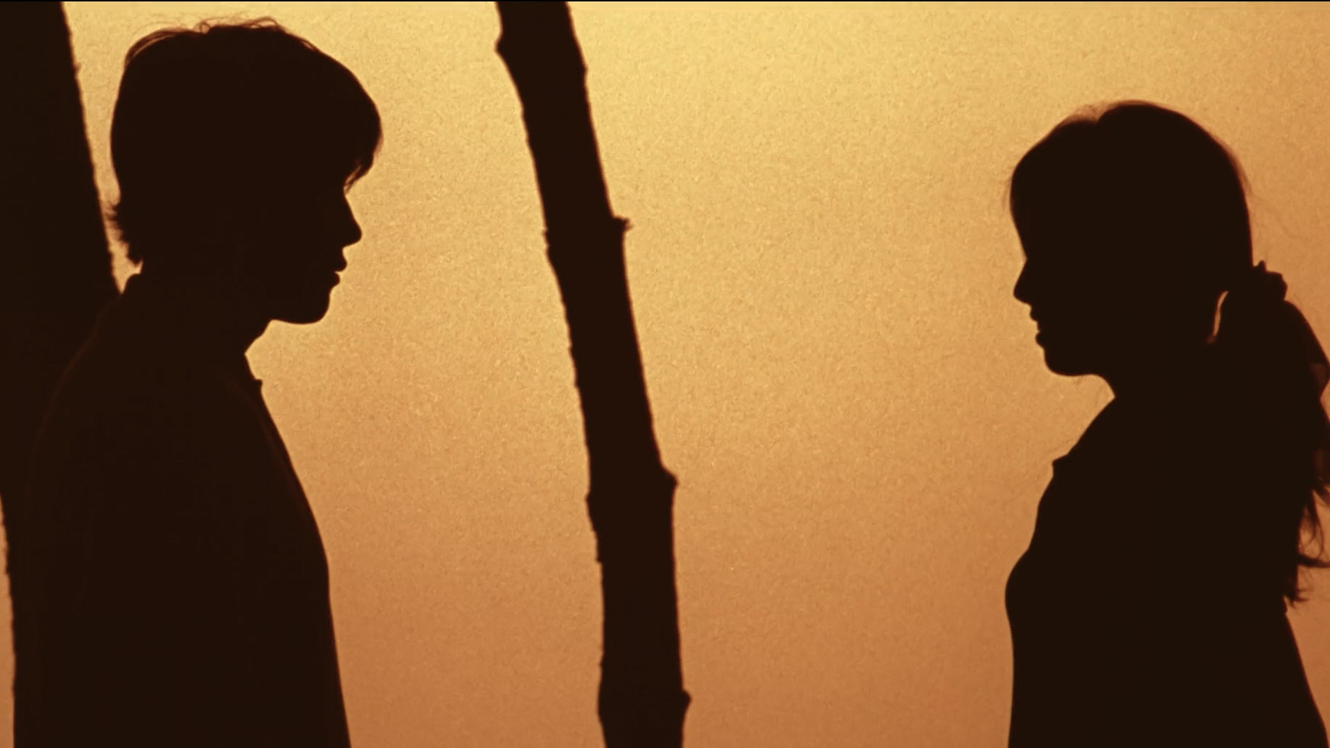 Bungee Jumping of Their Own Background