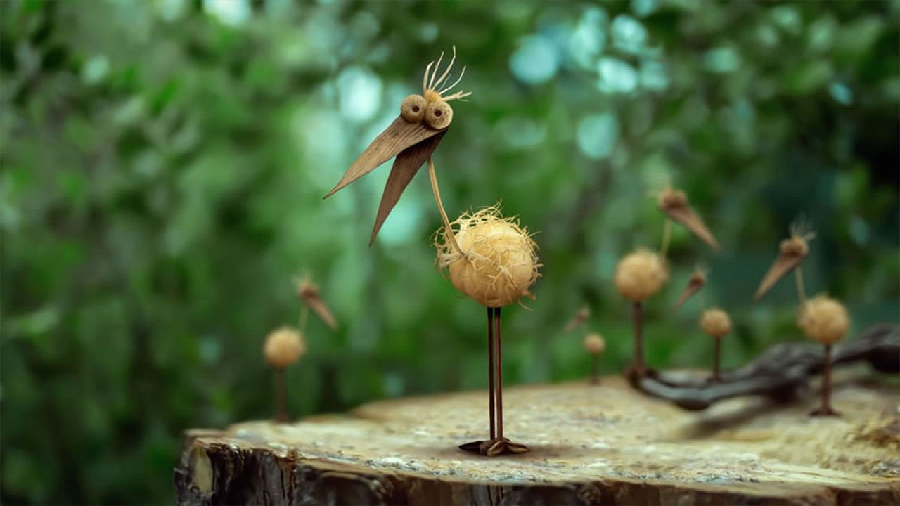 Two Snails Set Off Background