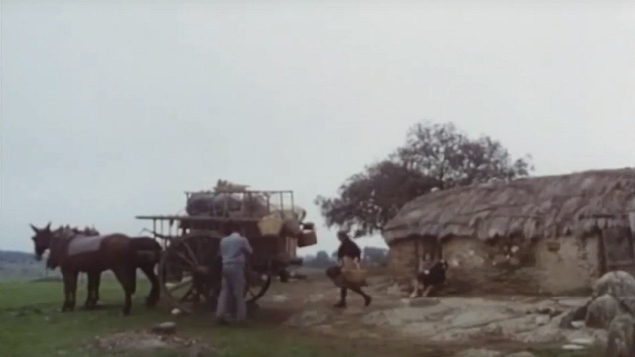 Los santos inocentes Background