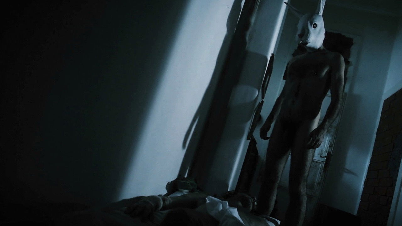 Red Krokodil Background