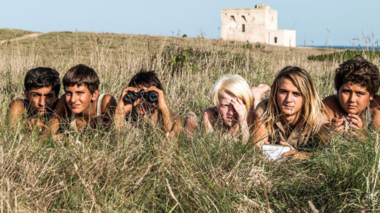 The War of Bumpkins Background