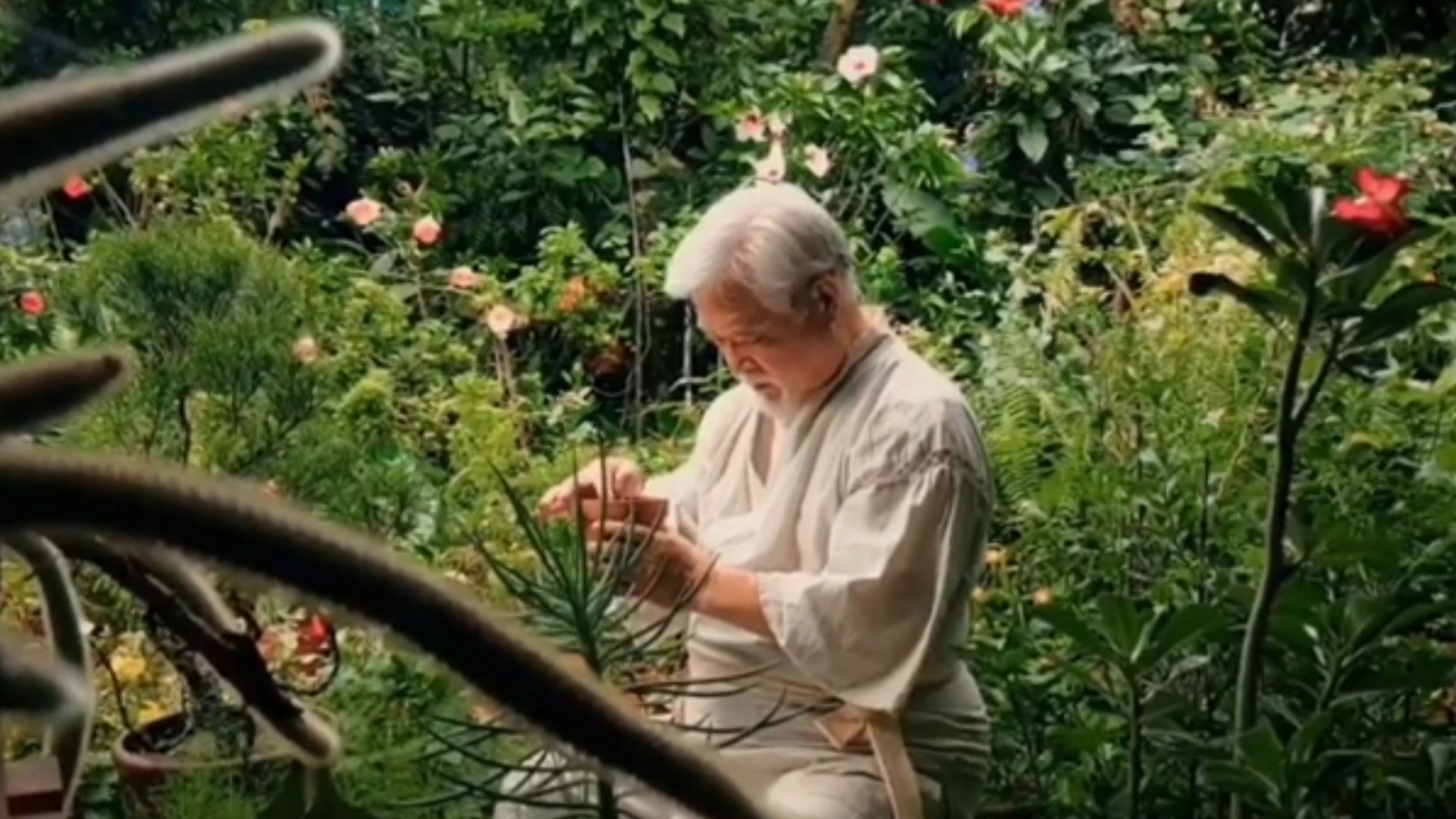 Eternal Return Background