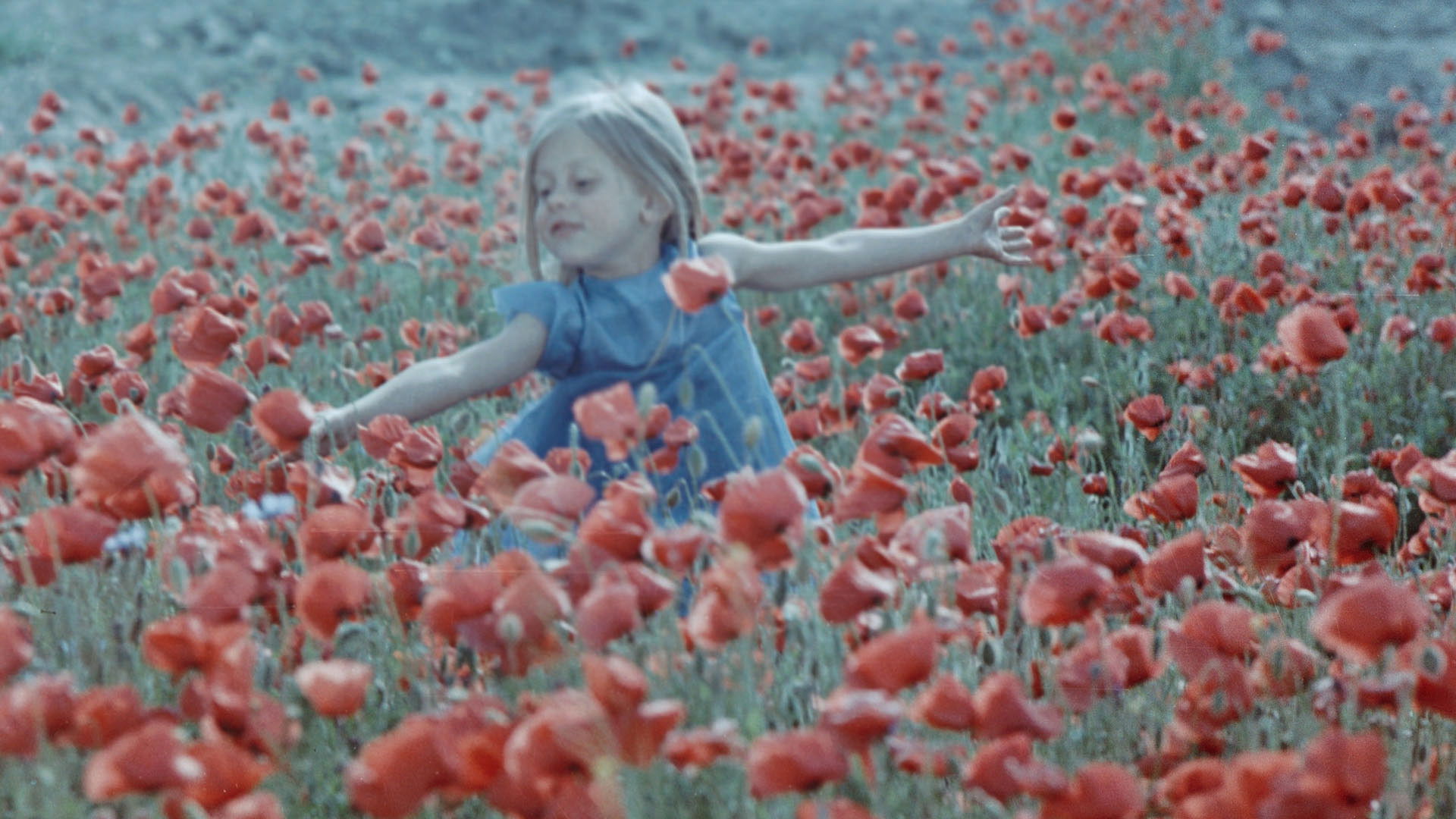 Colourful Dreams Background