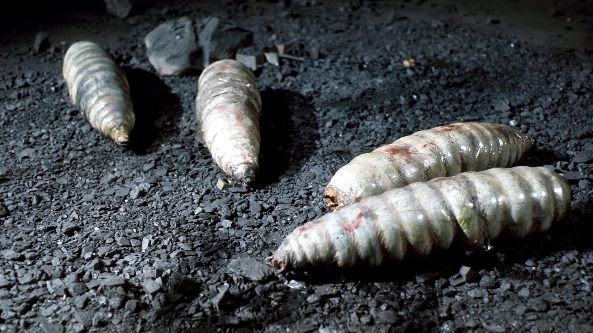 Doctor Who: The Green Death Background