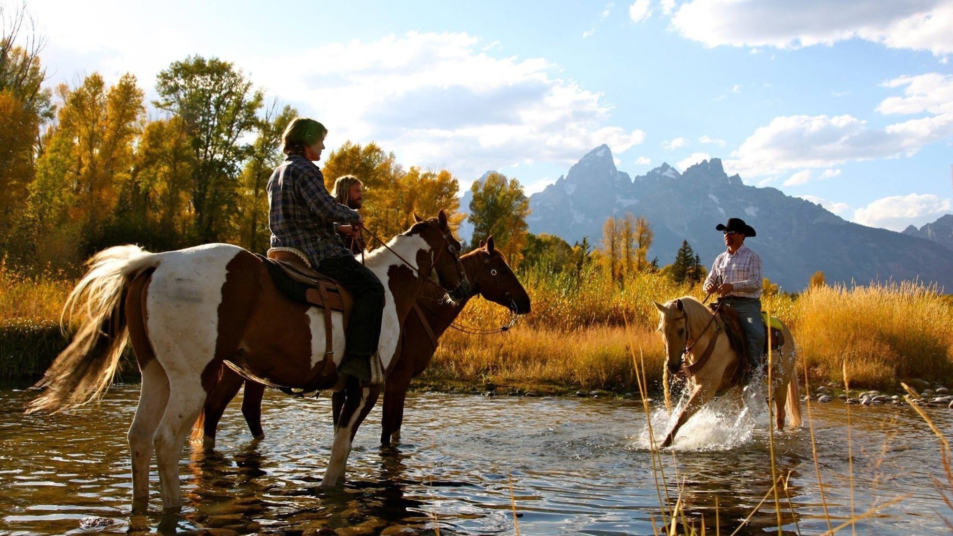 Druid Peak Background