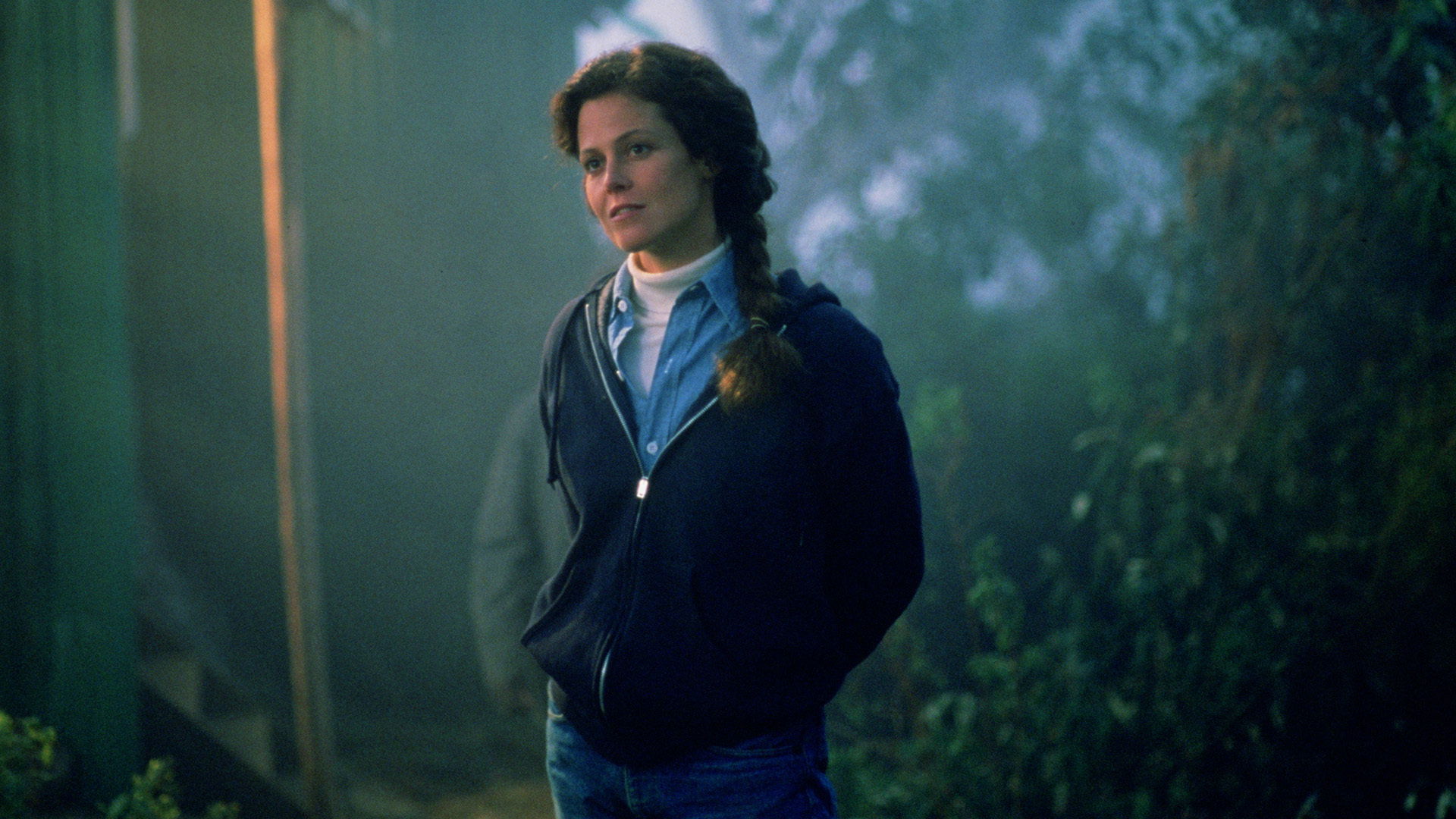 Gorillas in the Mist Background