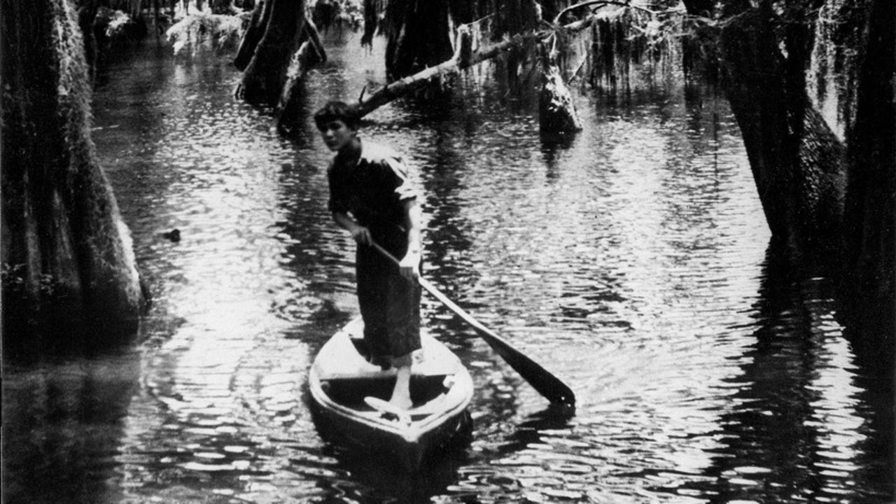 Louisiana Story Background