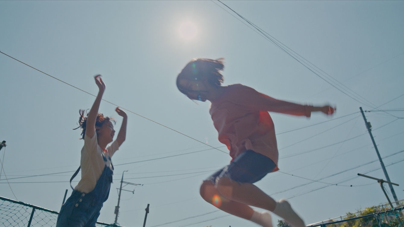 House of Hummingbird Background