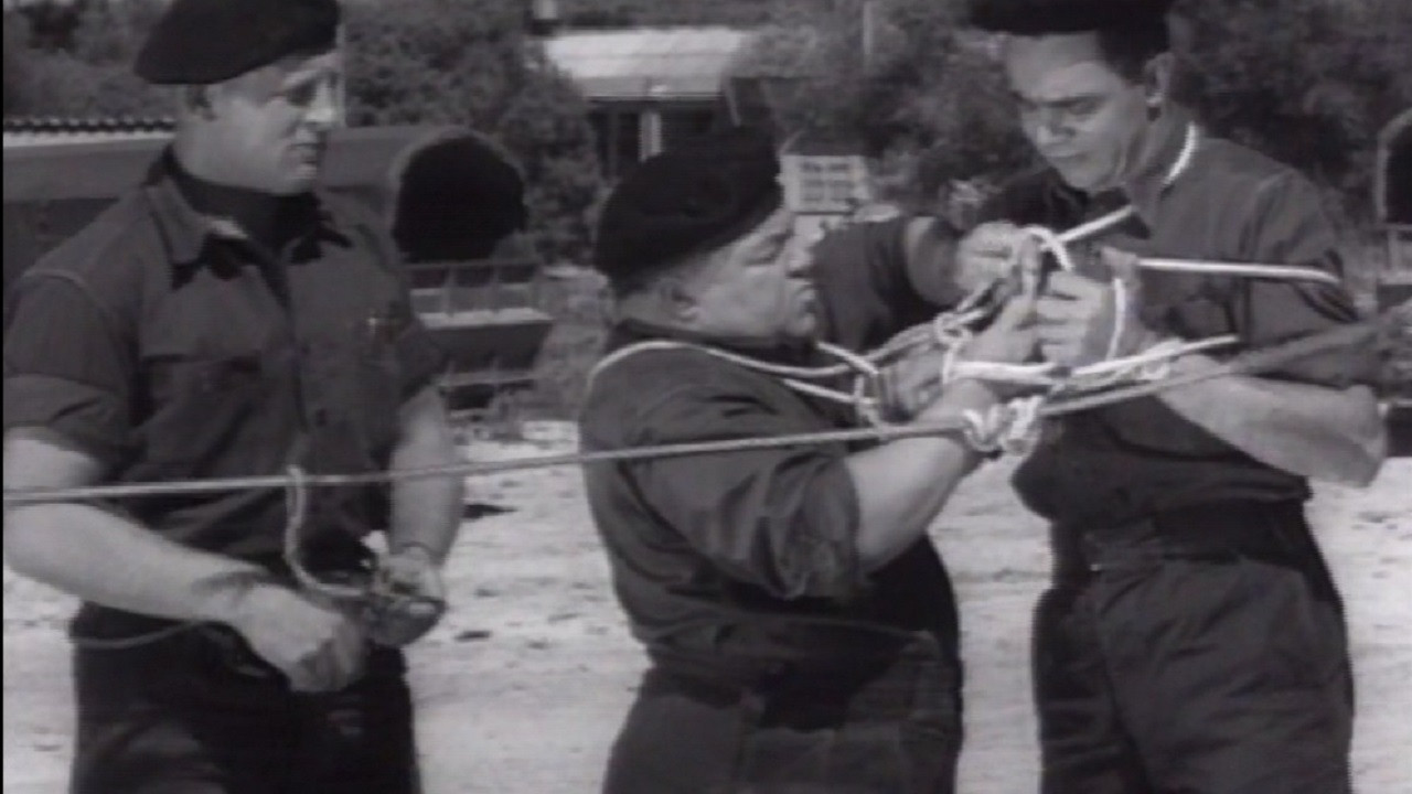 Fratse in die Vloot Background