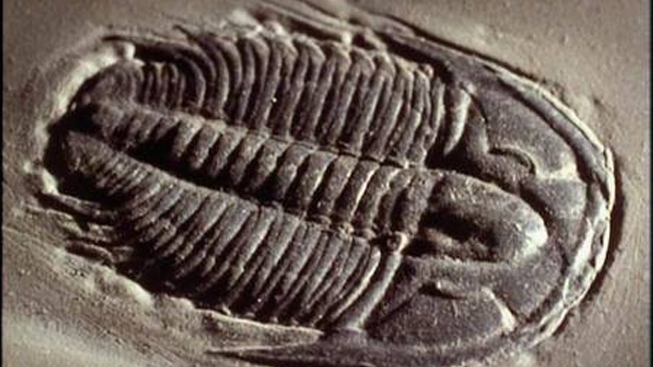 Lost Worlds, Vanished Lives Background