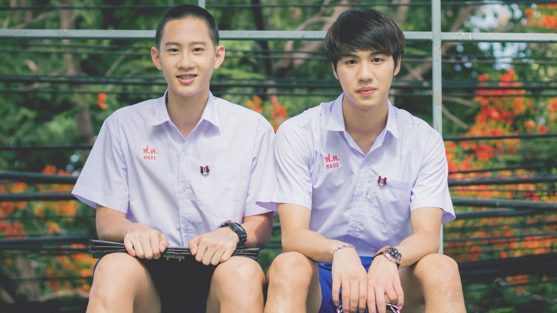 Love Sick Background