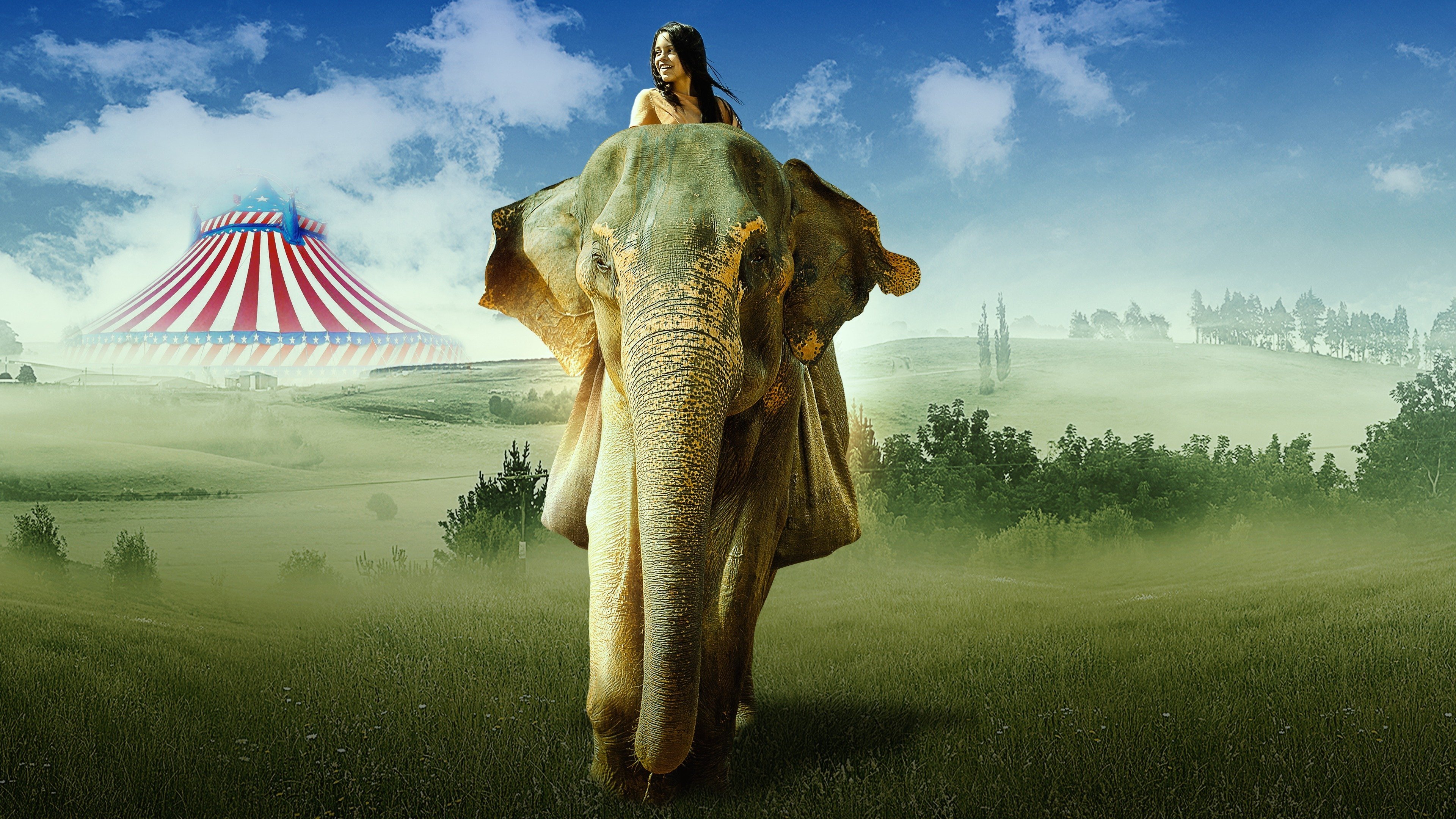 Saving Flora Background