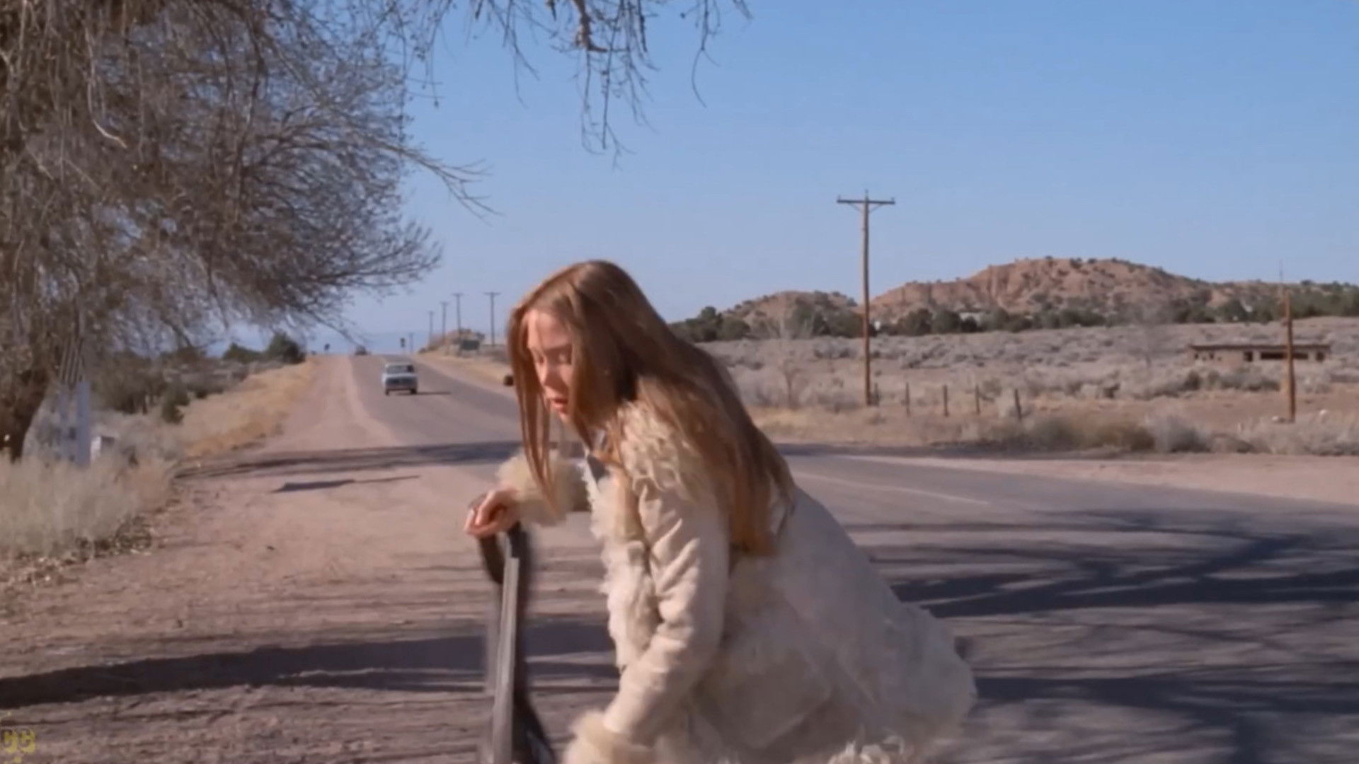 Ginger in the Morning Background