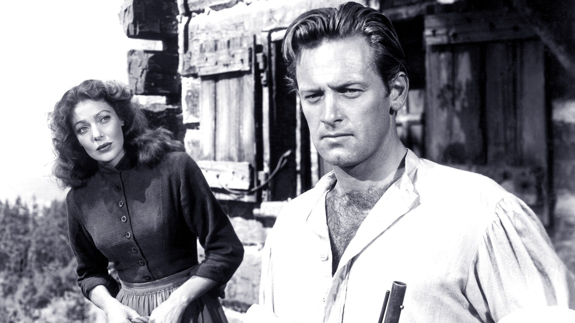 Rachel and the Stranger Background