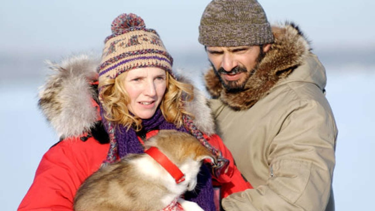 Romaine 30° Below Background