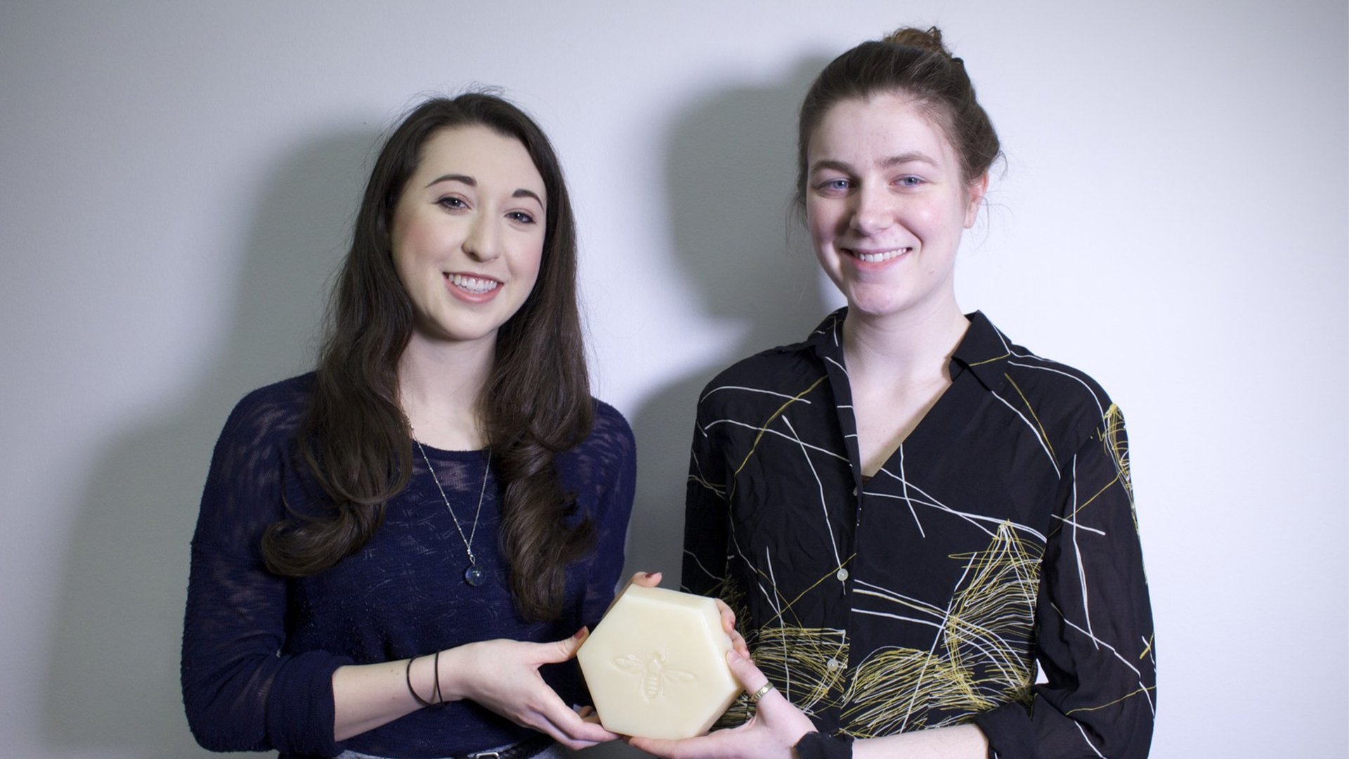 FIT Hives: Sustainability - The Secret to Survival Background