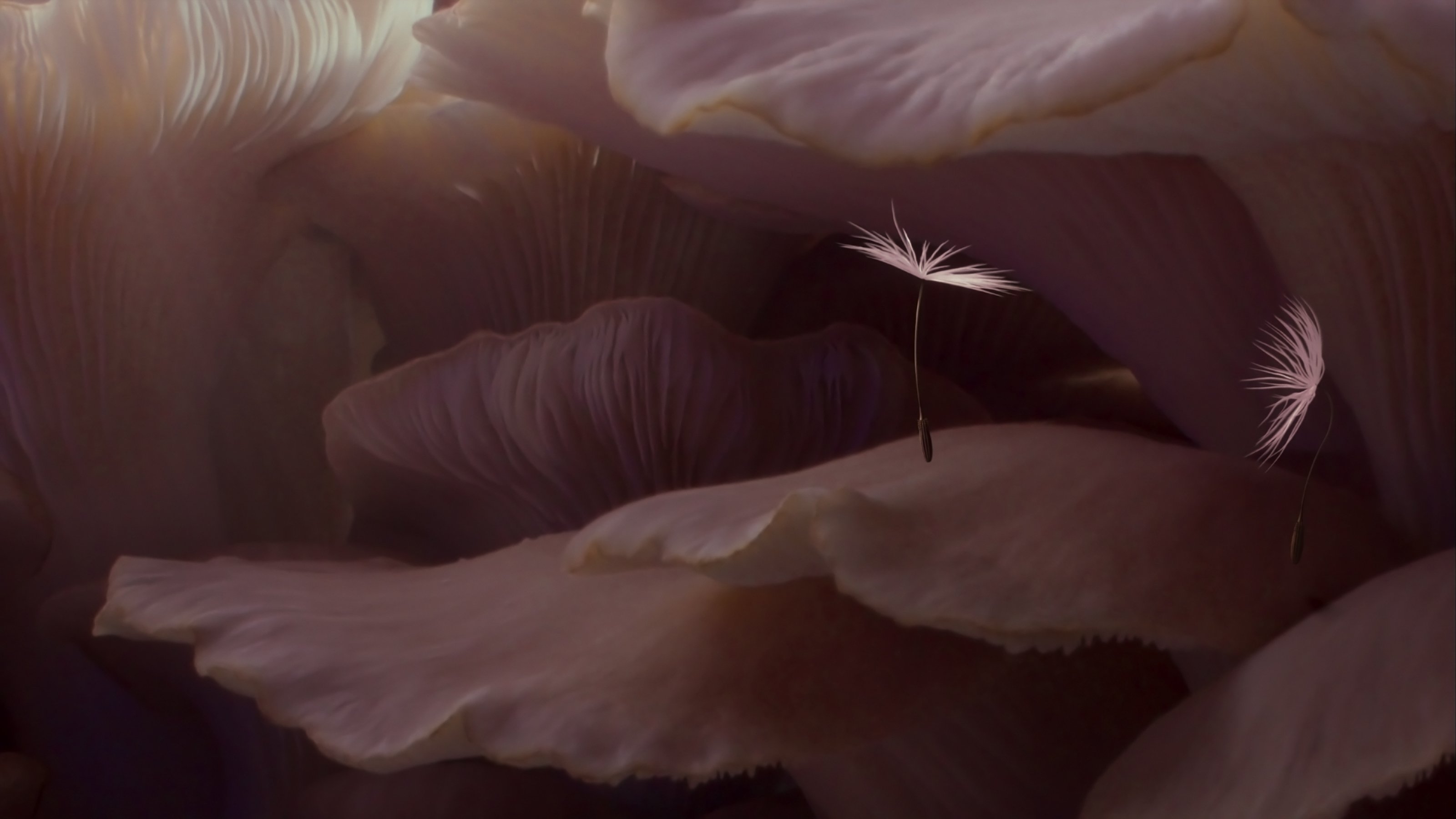 Dandelion's Odyssey Background