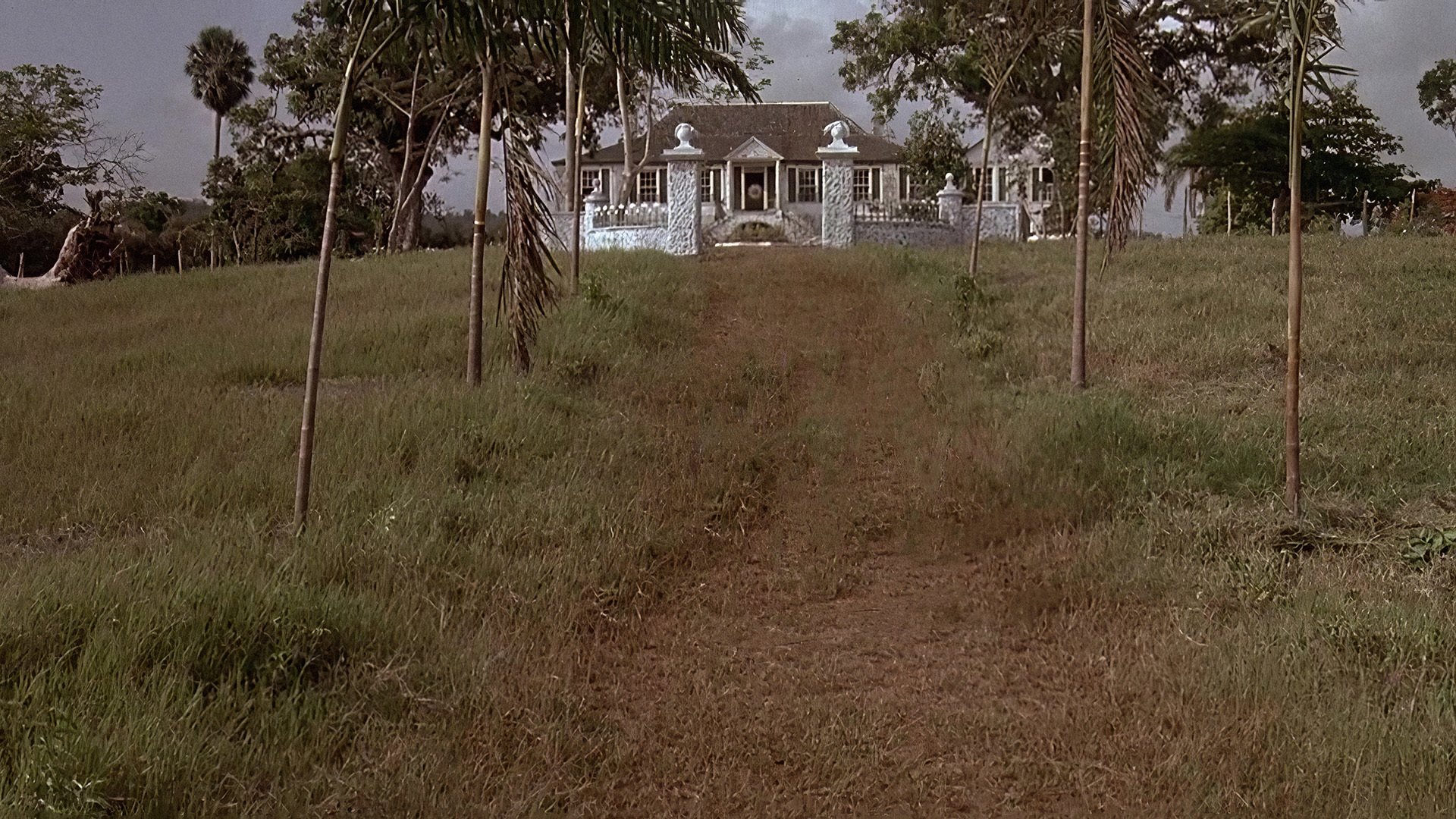 Wide Sargasso Sea Background