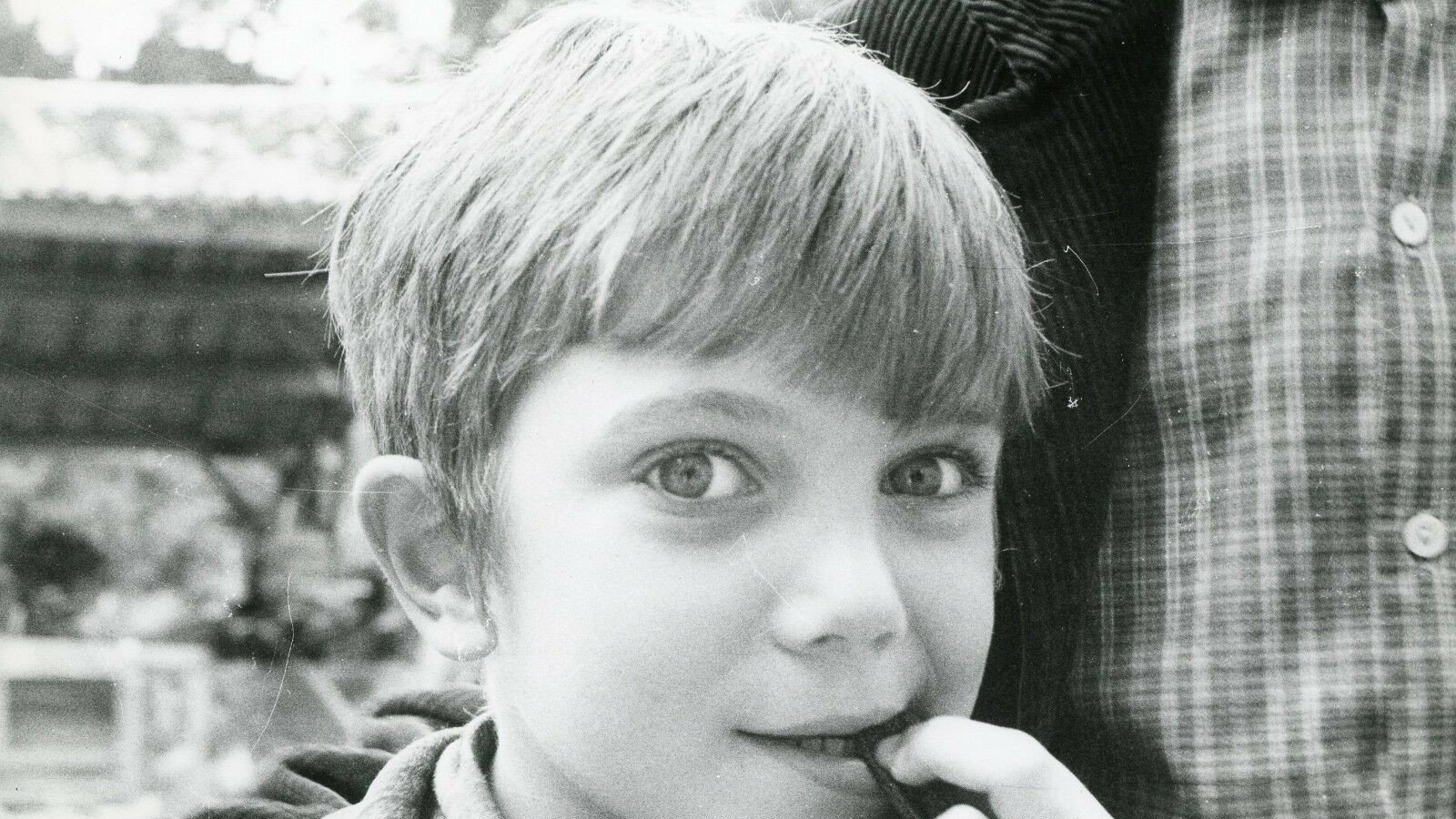 Graine d'Ortie Background