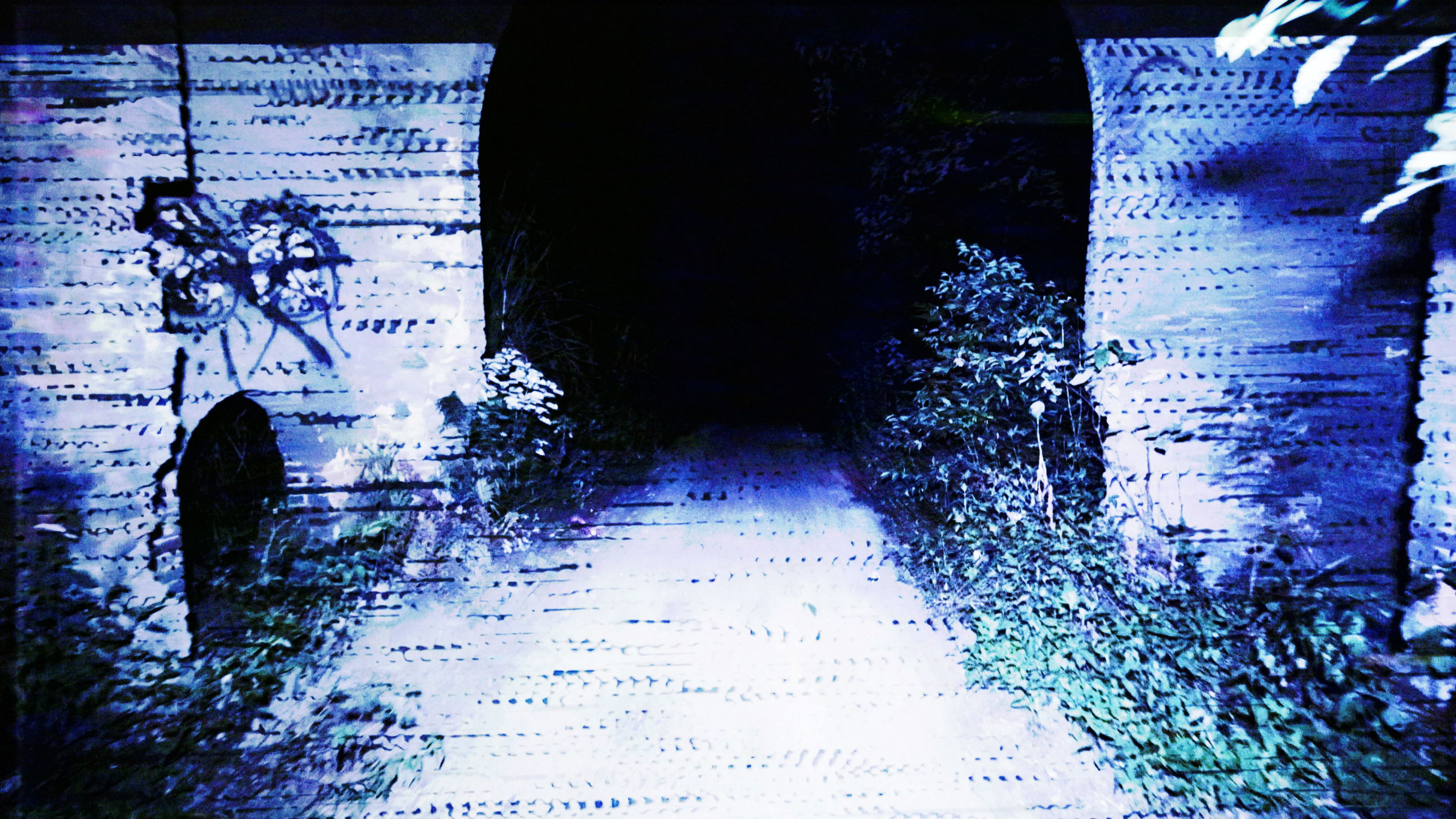 Transmission Background