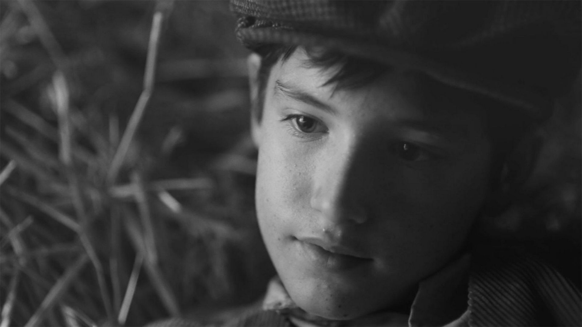 Cientouno Background