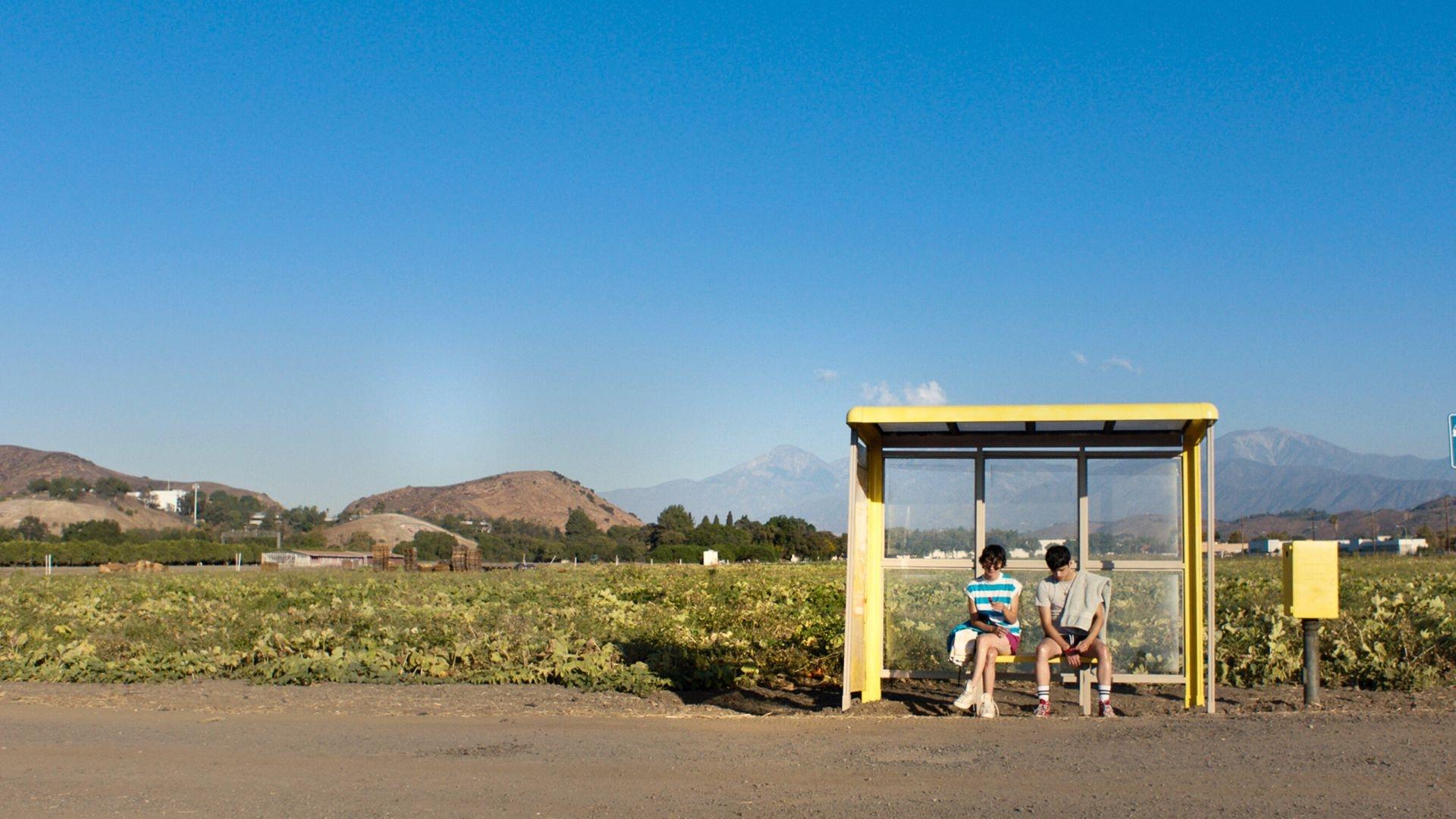 Aristotle and Dante Discover the Secrets of the Universe Background