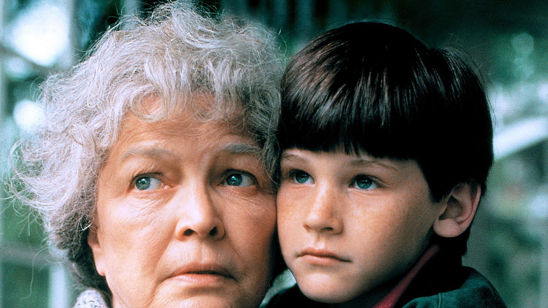 Mrs. Lambert Remembers Love Background