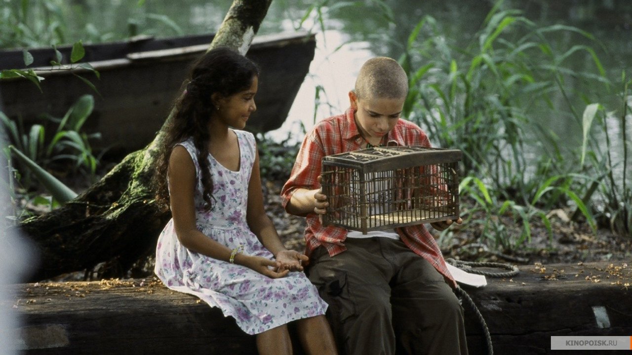 The Blue Butterfly Background