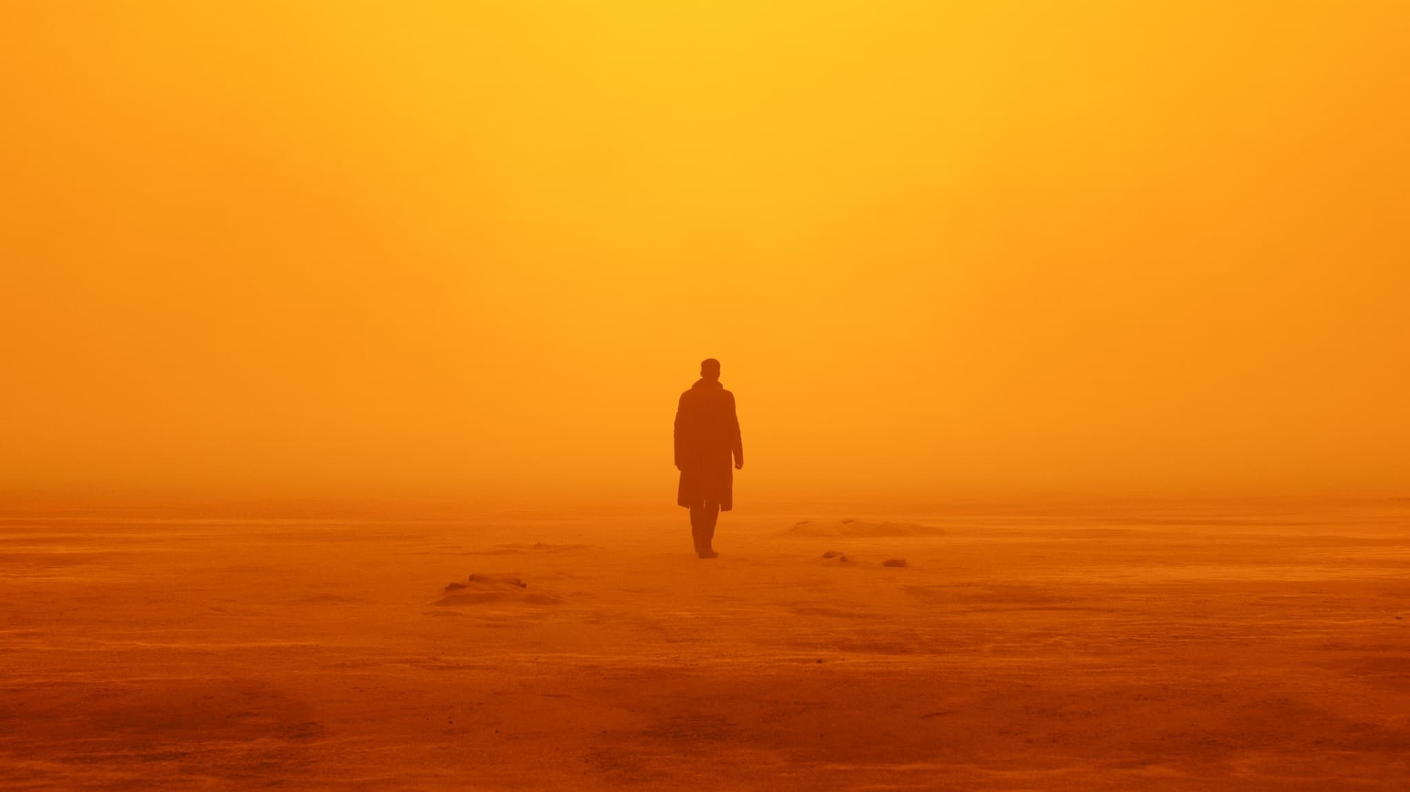 Blade Runner 2049 Background