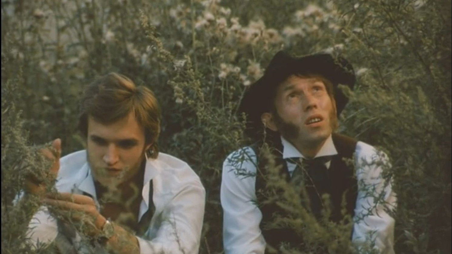 Sideburns Background