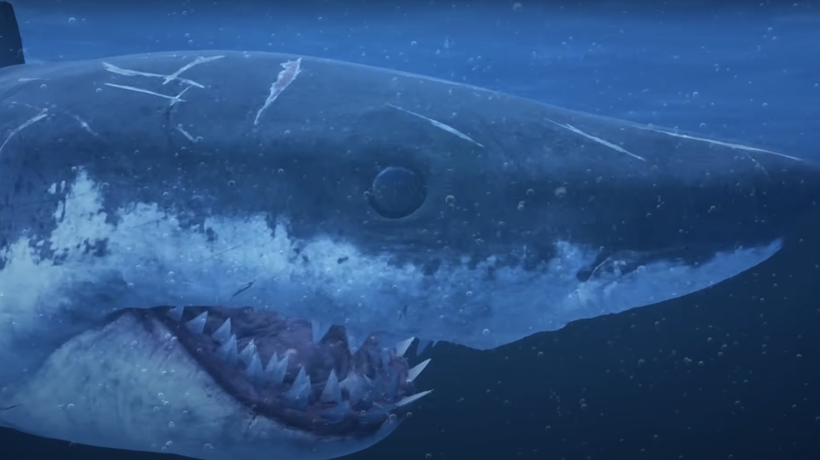 Mummy Shark Background