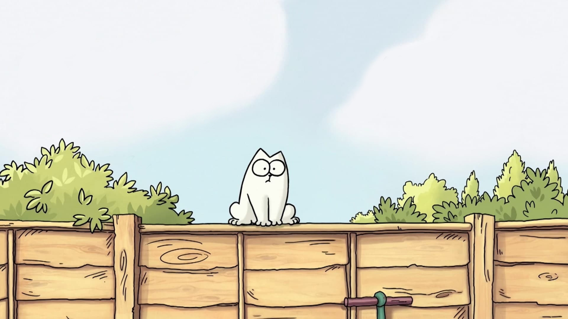 Simon’s Cat Background