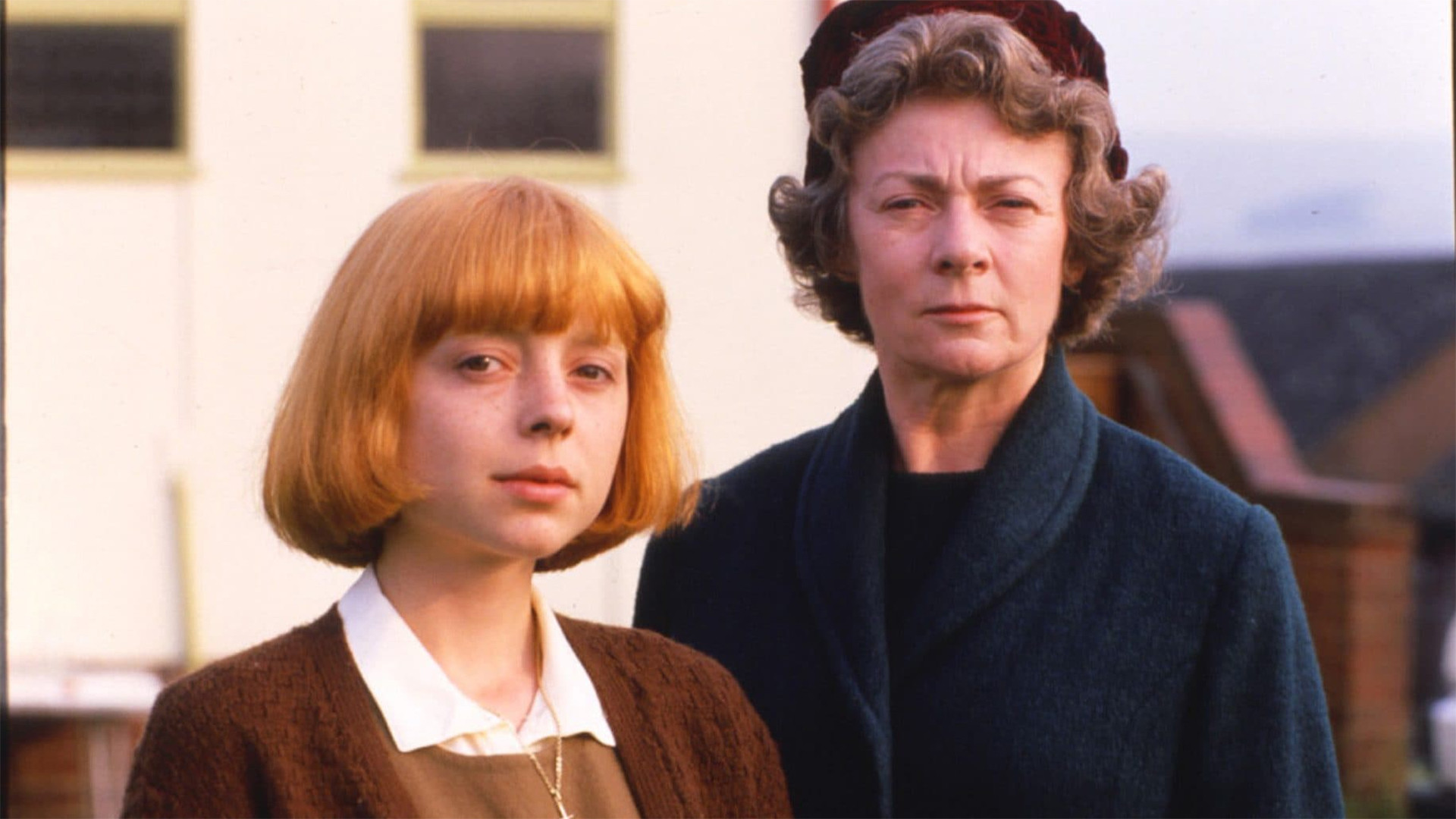 Oranges Are Not the Only Fruit Background