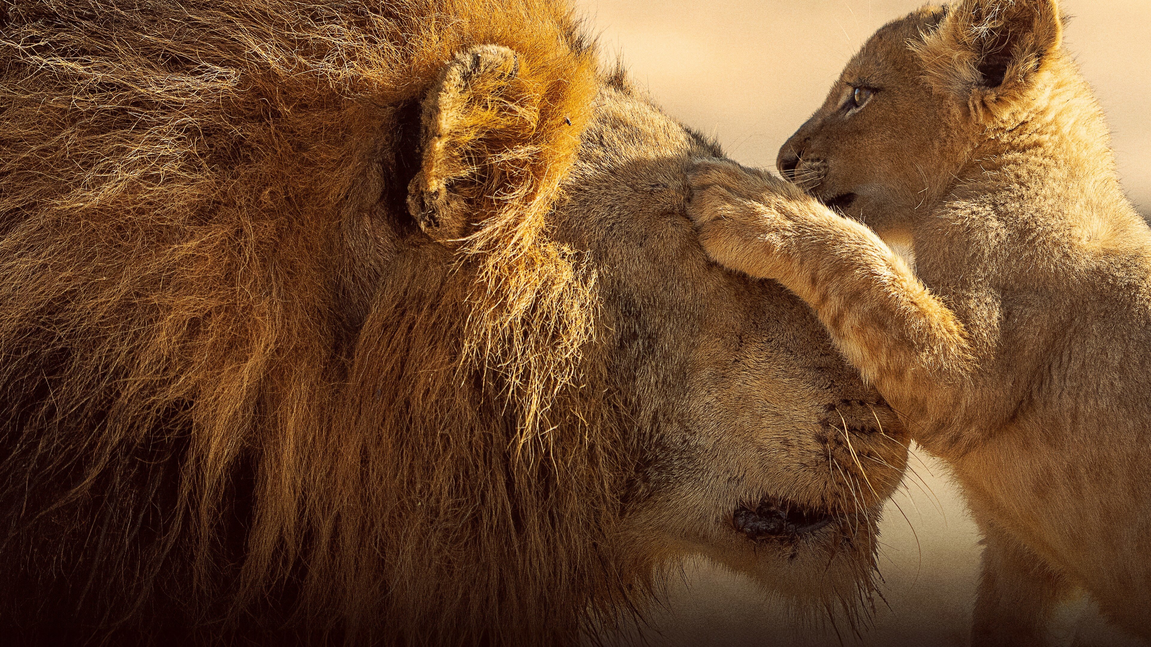 Parenthood Background